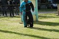 Championnat de Bretagne Ring 2010 0974