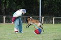 Championnat de Bretagne Ring 2010 0989