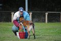 Championnat de Bretagne Ring 2010 0988