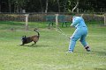 Championnat de Bretagne Ring 2010 1007