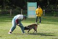Championnat de Bretagne Ring 2010 1011