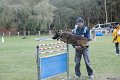 Championnat de Bretagne Ring 2010 1229