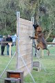 Championnat de Bretagne Ring 2010 1232